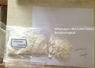Stéroïde injectable d'Enanthate de testostérone de poudre de stéroïdes anabolisant de CAS 315-37-7 USP