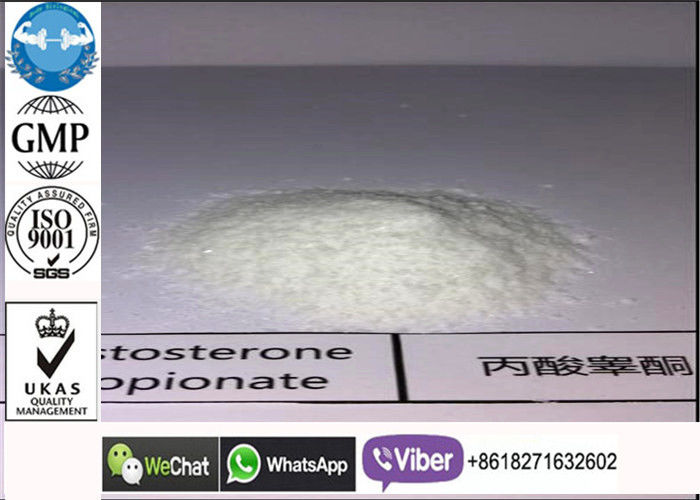521-12-0 poudre de propionate de testostérone, stéroïdes de entassement en vrac juridiques d'appui vertical cru blanc d'essai