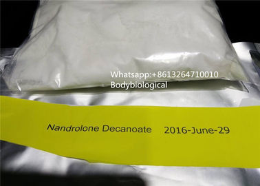 Poudre injectable de Decanoate de Nandrolone de stéroïdes anabolisant sains de Deca