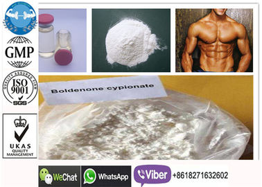 CAS 106505-90-2 Boldenone Cypionate, suppléments injectables de stéroïdes de gain de muscle